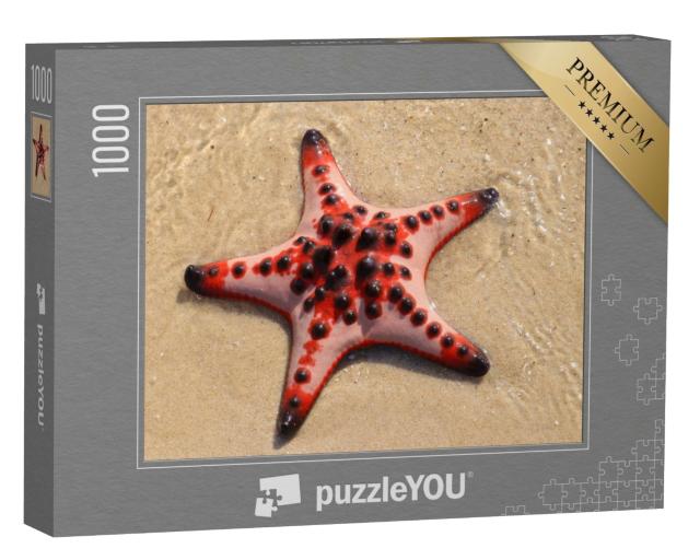 Puzzle de 1000 pièces « Étoile de mer rouge sur la plage, île de Phu Quoc, Vietnam »