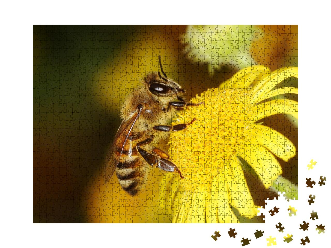 Puzzle de 1000 pièces « Une abeille à miel »