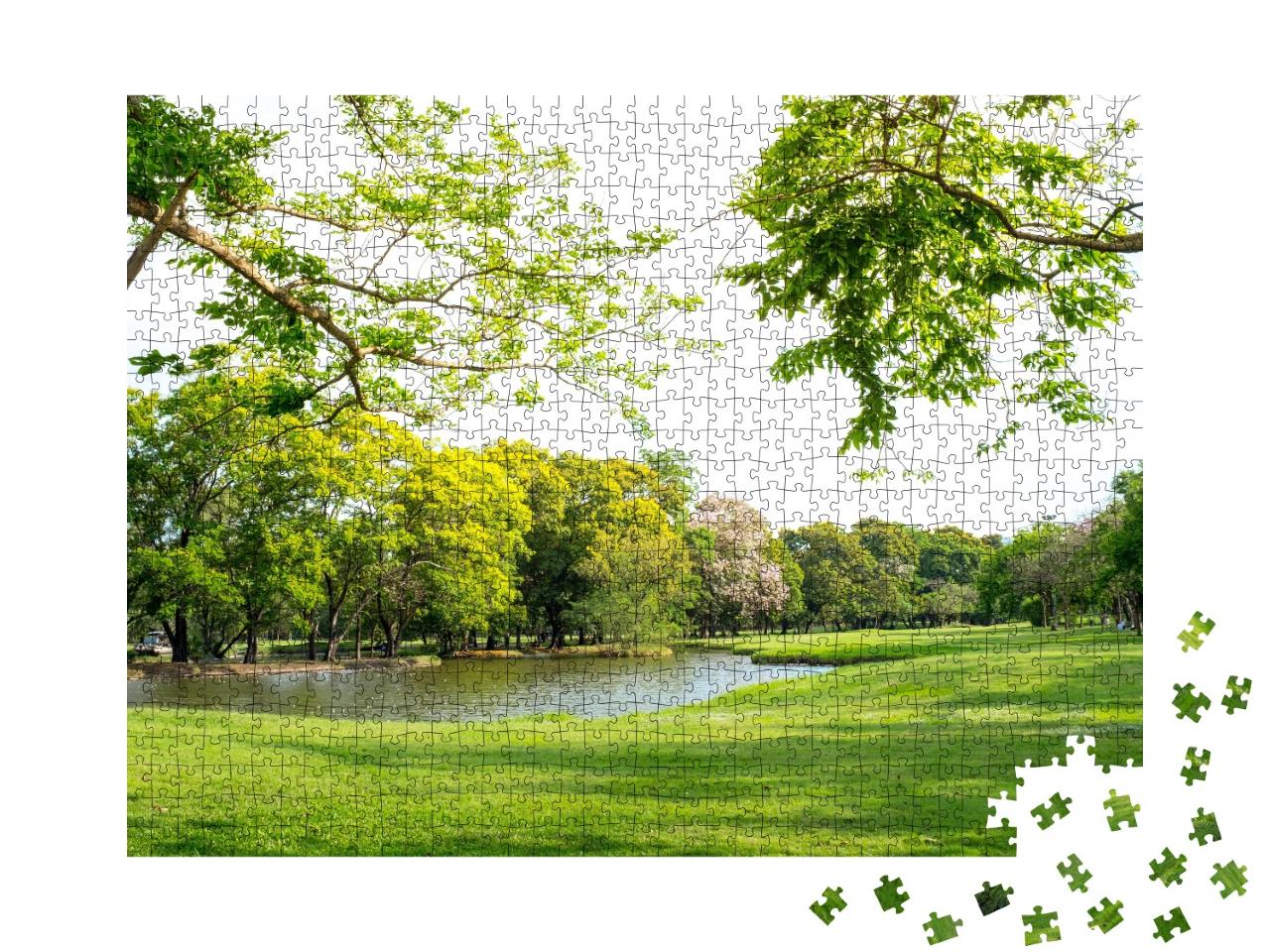 Puzzle de 1000 pièces « Vue pittoresque sur un lac dans le parc »
