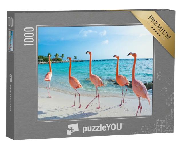Puzzle de 1000 pièces « Flamant rose, île d'Aruba »