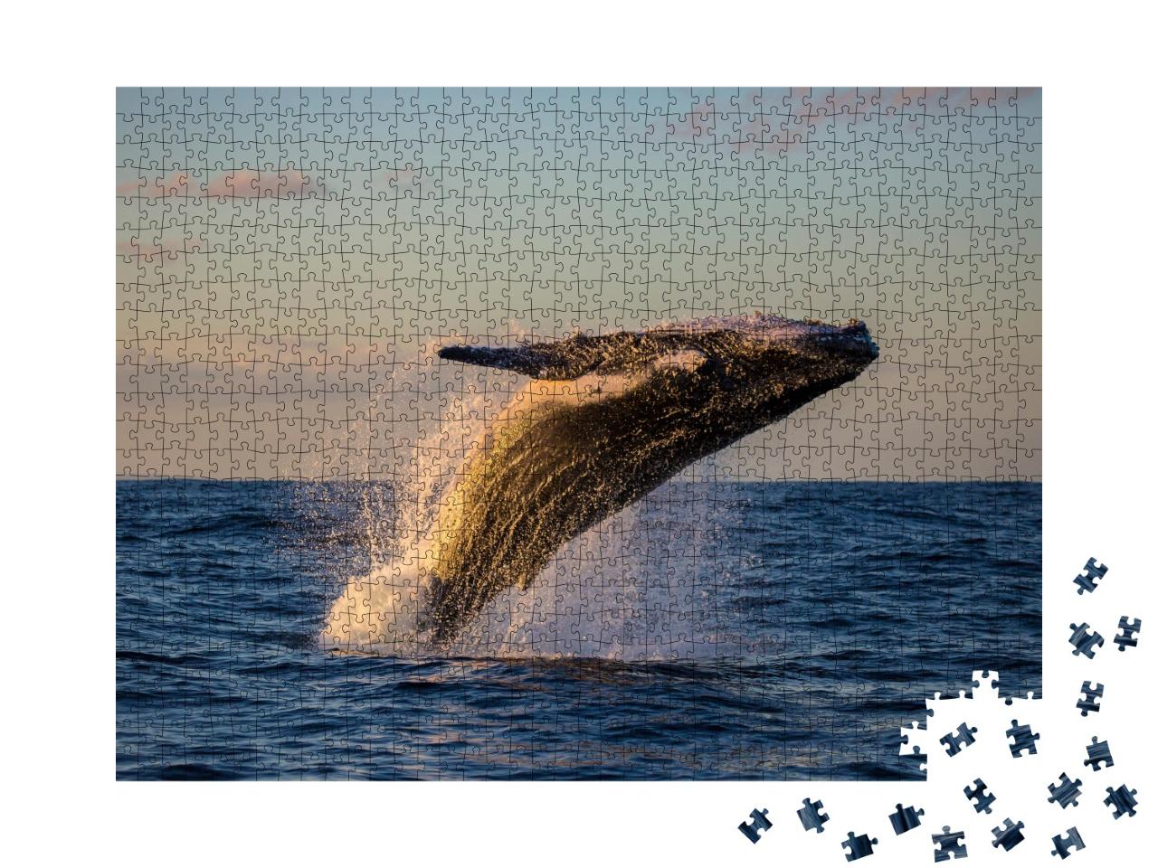 Puzzle de 1000 pièces « Baleine à bosse en train de sauter au crépuscule »