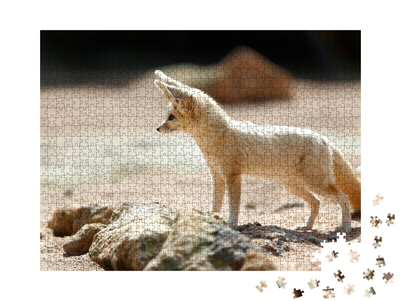 Puzzle de 1000 pièces « Le renard fennec, également connu sous le nom de renard du désert »