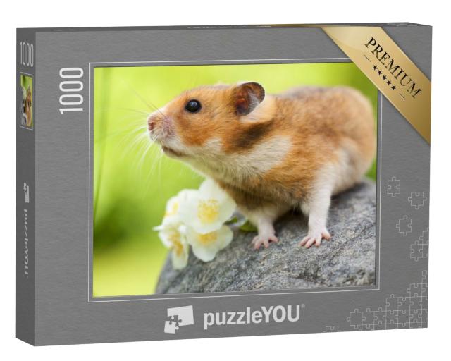 Puzzle de 1000 pièces « Mignon hamster sur une pierre »