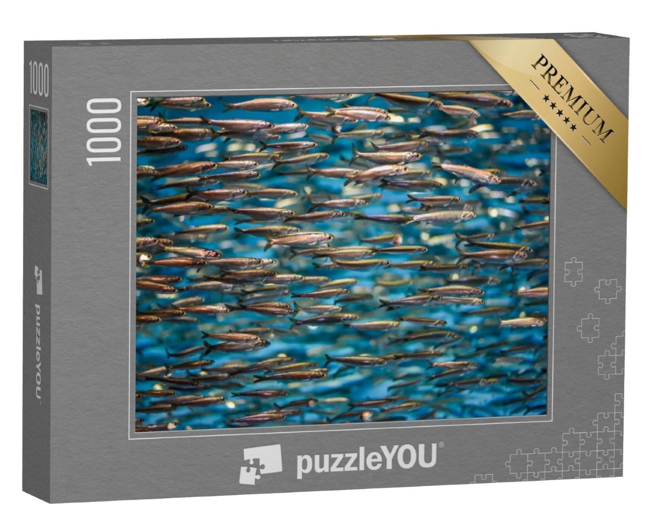Puzzle de 1000 pièces « Un banc d'anchois »