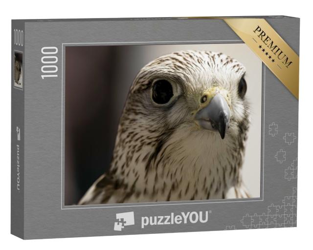 Puzzle de 1000 pièces « Portrait d'un oiseau de proie »