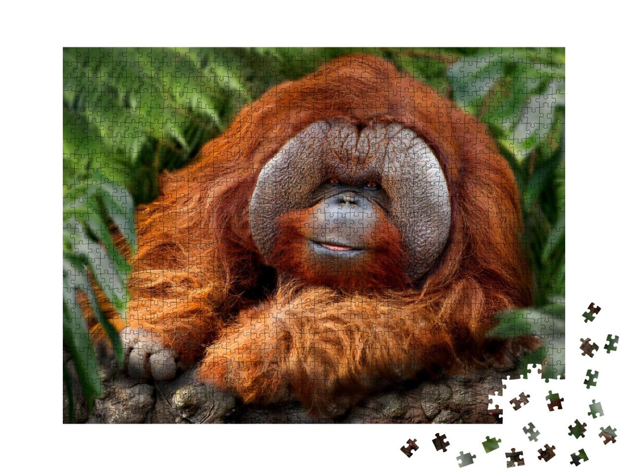 Puzzle de 1000 pièces « Forêt tropicale humide avec orangs-outans »
