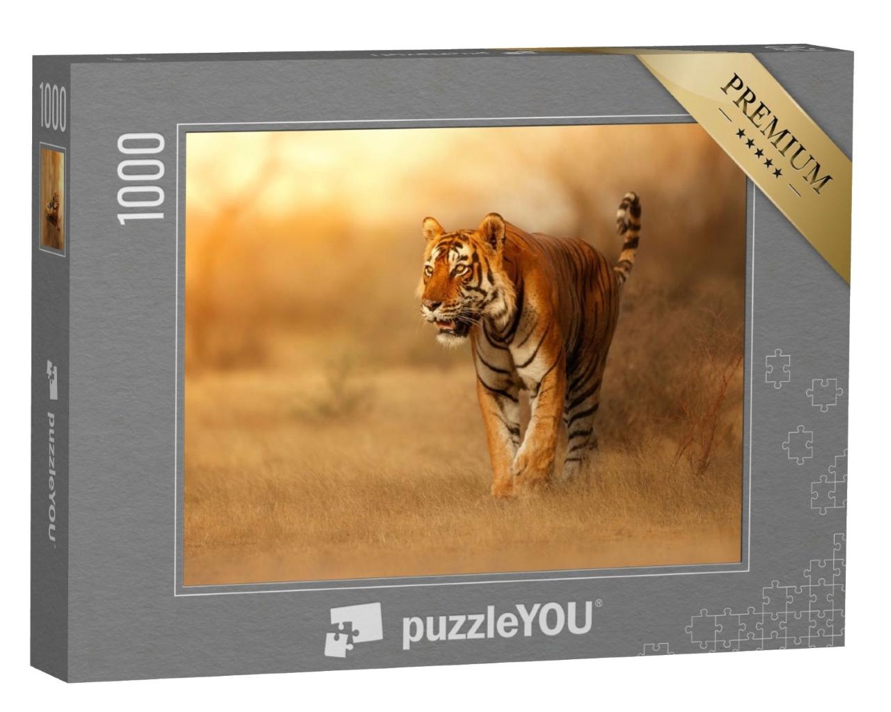 Puzzle de 1000 pièces « Tigre dans son habitat naturel en Inde »
