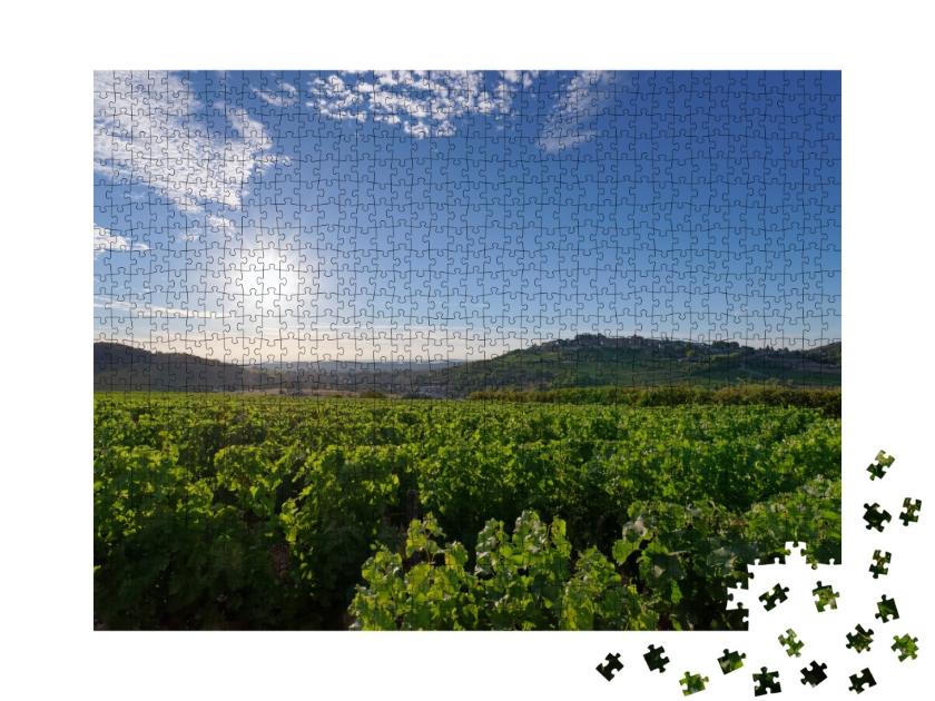 Puzzle de 1000 pièces « Vignobles et collines du village de Sancerre dans la vallée de la Loire »