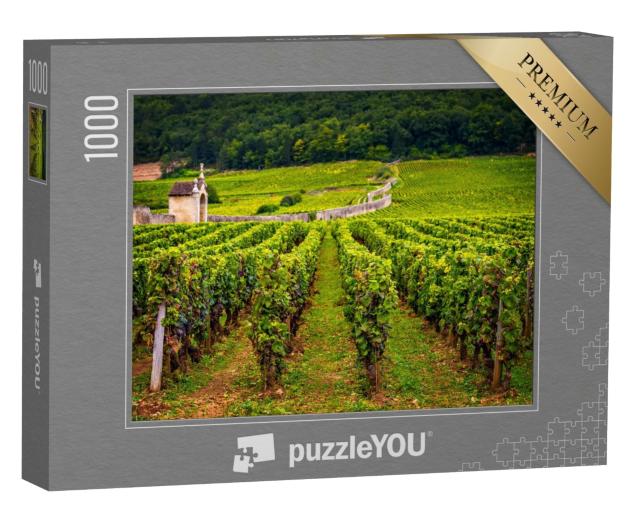 Puzzle de 1000 pièces « Château avec vignobles, Bourgogne, France »