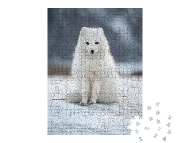 Puzzle de 1000 pièces « Renard polaire »