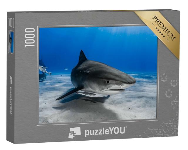 Puzzle de 1000 pièces « Le requin-tigre nage au-dessus du récif »