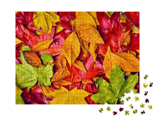 Puzzle de 1000 pièces « Arrière-plan de feuilles d'automne »