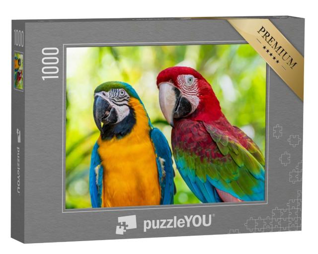 Puzzle de 1000 pièces « perroquet, aras »