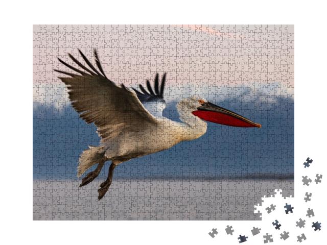 Puzzle de 1000 pièces « Pélican frisé en vol au-dessus du lac Kerkini, Grèce »