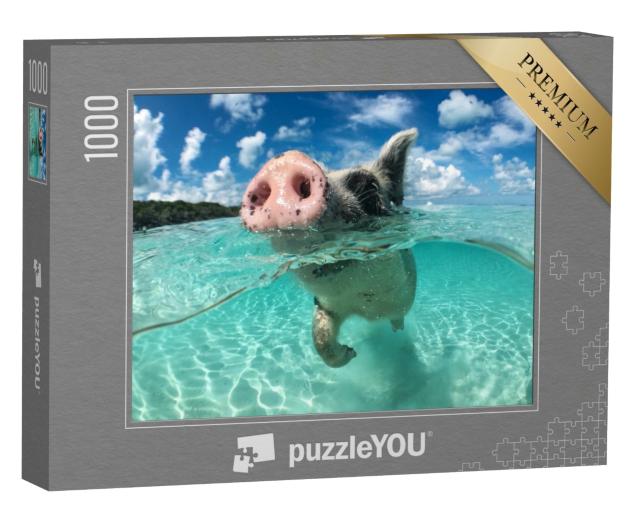Puzzle de 1000 pièces « Un cochon flottant, Big Majors Cay, Bahamas »