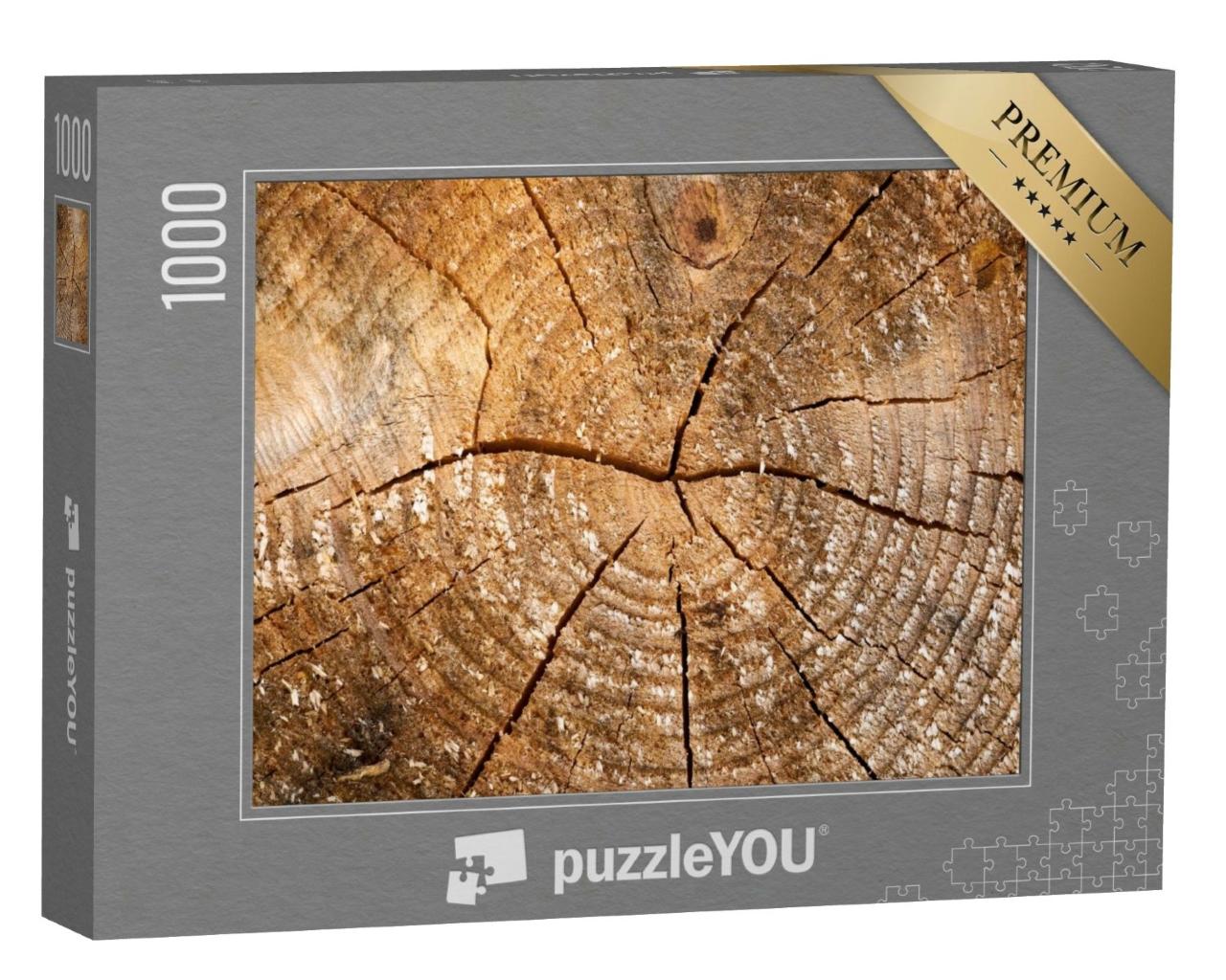 Puzzle de 1000 pièces « Bois altéré avec cernes annuels »