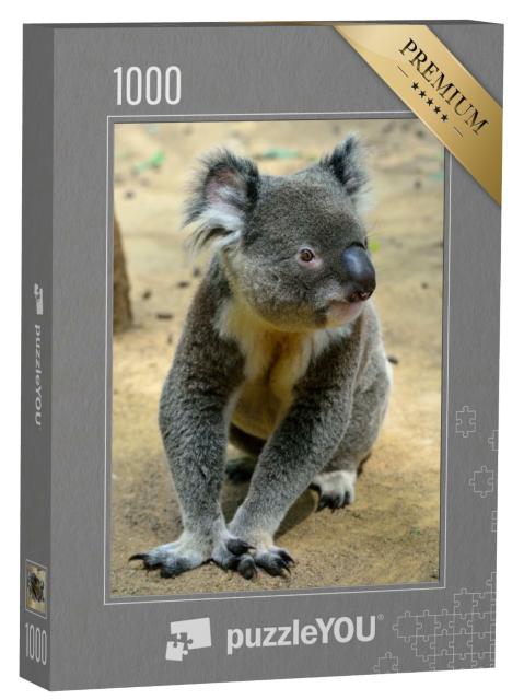 Puzzle de 1000 pièces « Koala, assis sur le sol, Queensland, Australie »