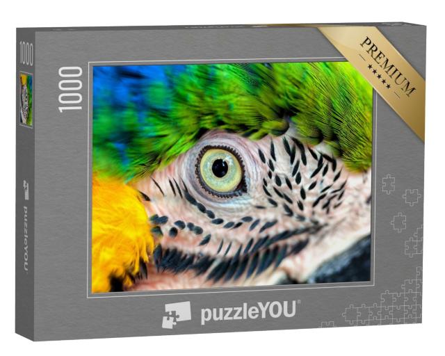 Puzzle de 1000 pièces « Détail : œil de perroquet »