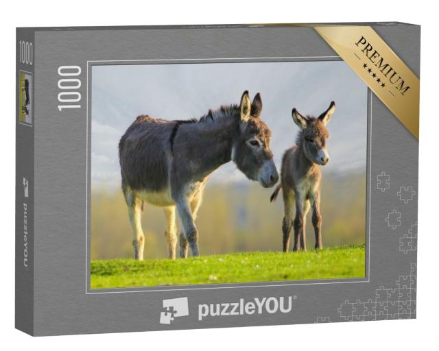 Puzzle de 1000 pièces « Un petit âne gris et sa mère dans un champ de fleurs »