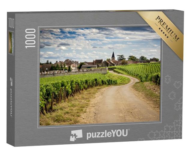 Puzzle de 1000 pièces « Bourgogne. Route dans les vignobles menant au village de Vosne-Romanée. France »