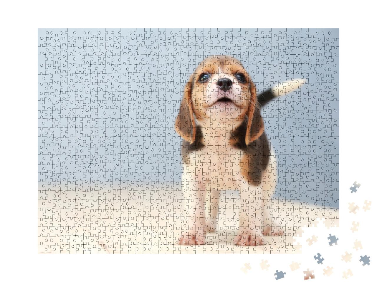 Puzzle de 1000 pièces « Petit chiot beagle mignon »