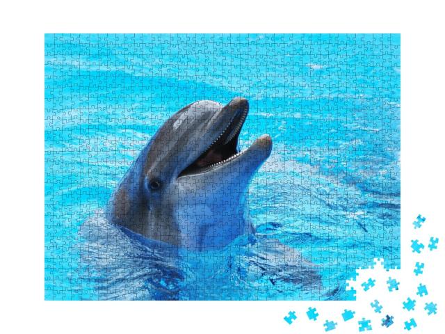 Puzzle de 1000 pièces « Des dauphins dans une piscine »