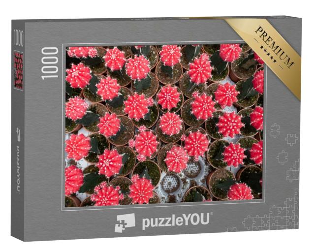 Puzzle de 1000 pièces « De nombreux petits pots de cactus lunaires vus du ciel »