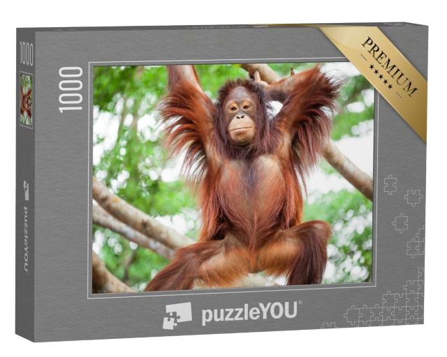 Puzzle de 1000 pièces « Orang-outan »