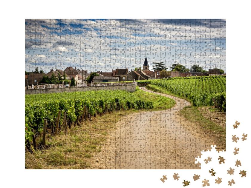 Puzzle de 1000 pièces « Bourgogne. Route dans les vignobles menant au village de Vosne-Romanée. France »