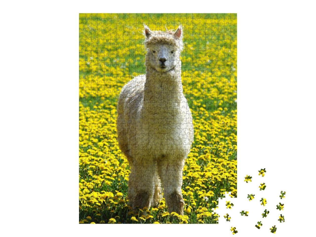 Puzzle de 1000 pièces « Un alpaga dans une prairie d'été avec des fleurs jaunes »