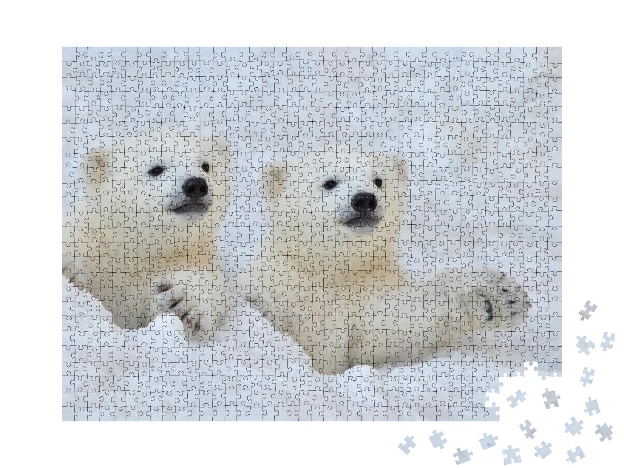 Puzzle de 1000 pièces « Deux oursons blancs dans la neige »