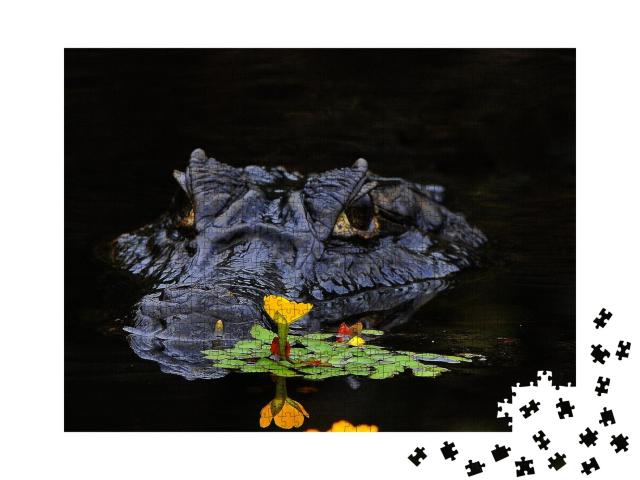Puzzle de 1000 pièces « Les caïmans sont des crocodiles »