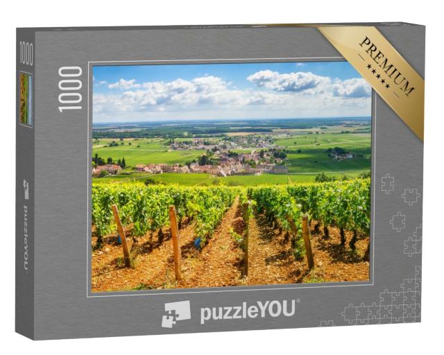 Puzzle de 1000 pièces « Vignobles en Bourgogne, France »