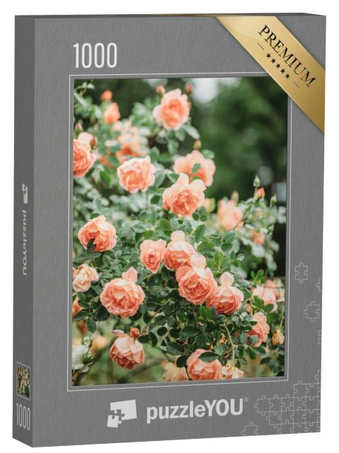 Puzzle de 1000 pièces « Roses de pêcher en pleine floraison »