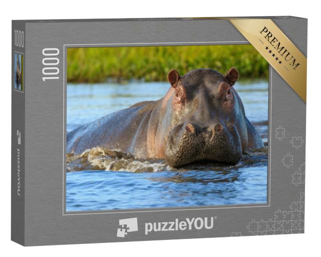 Puzzle de 1000 pièces « Hippopotames dans le parc national de Liwonde, Malawi »
