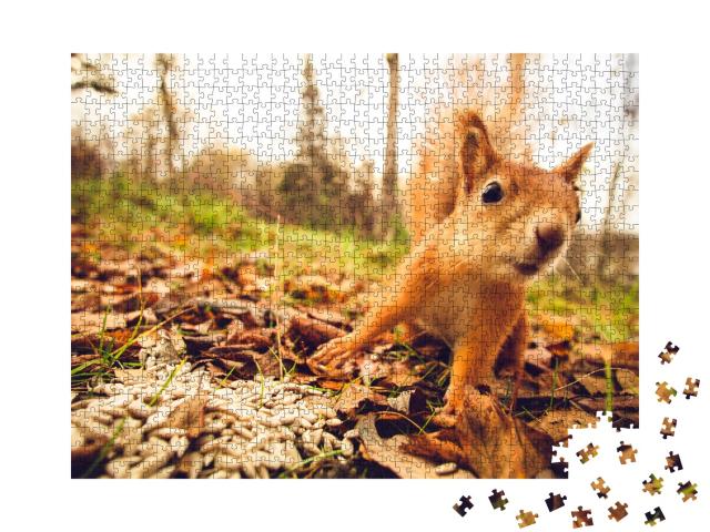 Puzzle de 1000 pièces « Écureuil dans la forêt »