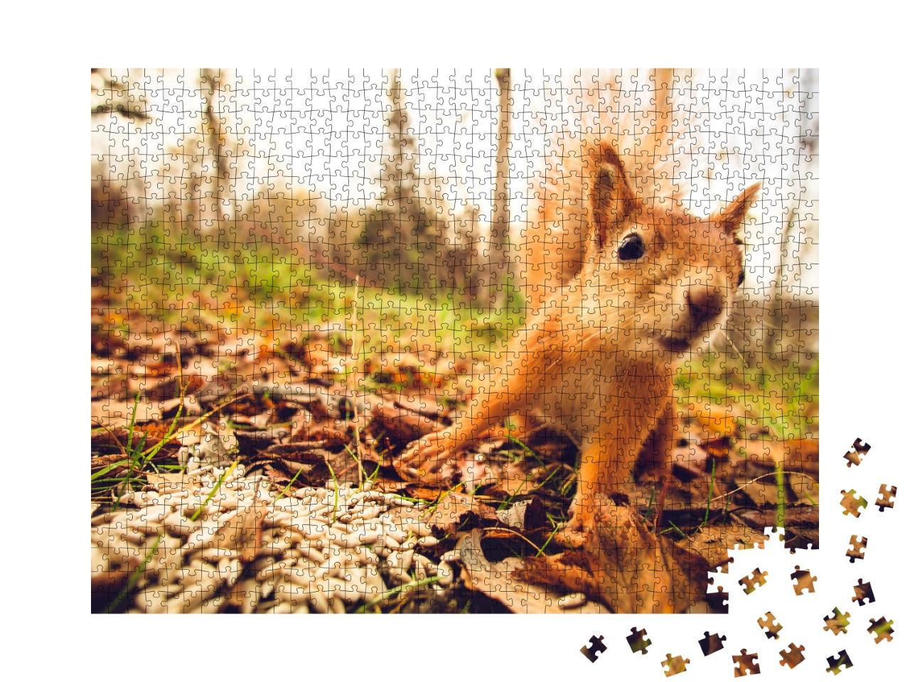 Puzzle de 1000 pièces « Écureuil dans la forêt »