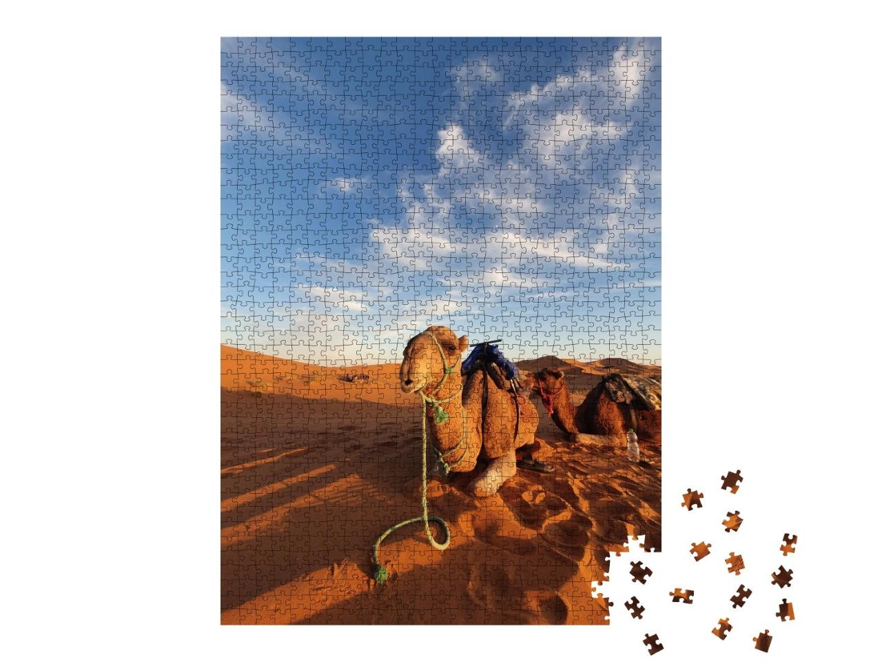 Puzzle de 1000 pièces « Chameau dans le désert du Sahara marocain »
