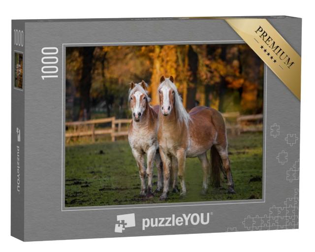 Puzzle de 1000 pièces « Deux chevaux dans une prairie automnale »