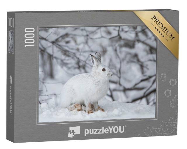 Puzzle de 1000 pièces « Lièvre blanc dans l'hiver canadien »