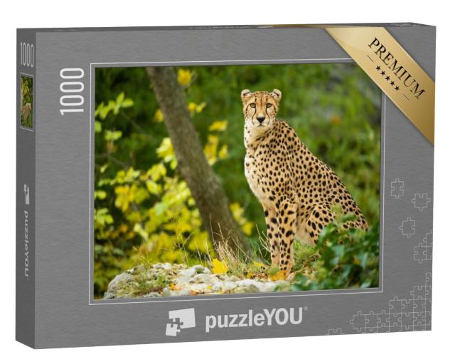 Puzzle de 1000 pièces « Gros plan sur un guépard au repos »