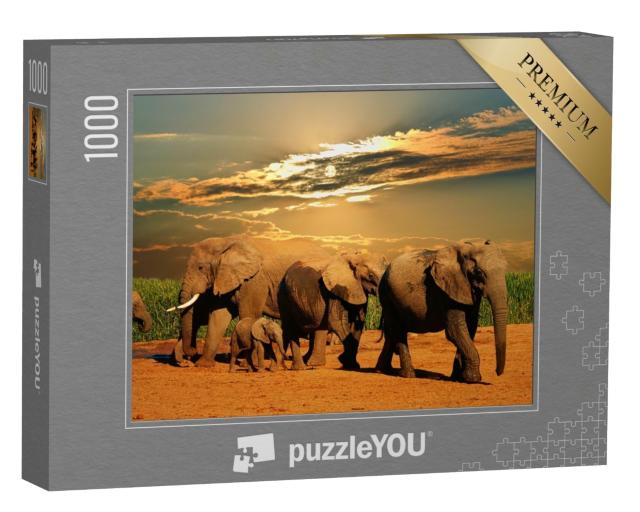 Puzzle de 1000 pièces « Troupeau d'éléphants d'Afrique, parc national d'Addo Elephant, Afrique du Sud »