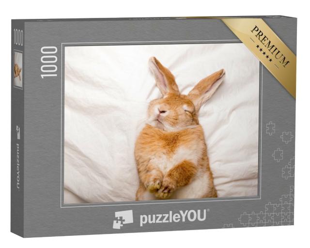 Puzzle de 1000 pièces « Lapin rêveur dans son sommeil confortable »
