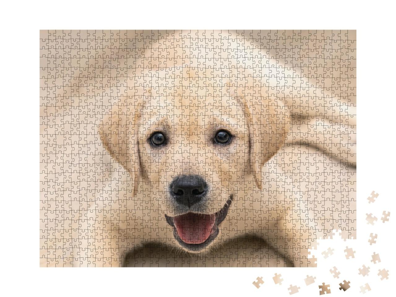 Puzzle de 1000 pièces « Adorable chiot labrador doré en gros plan »