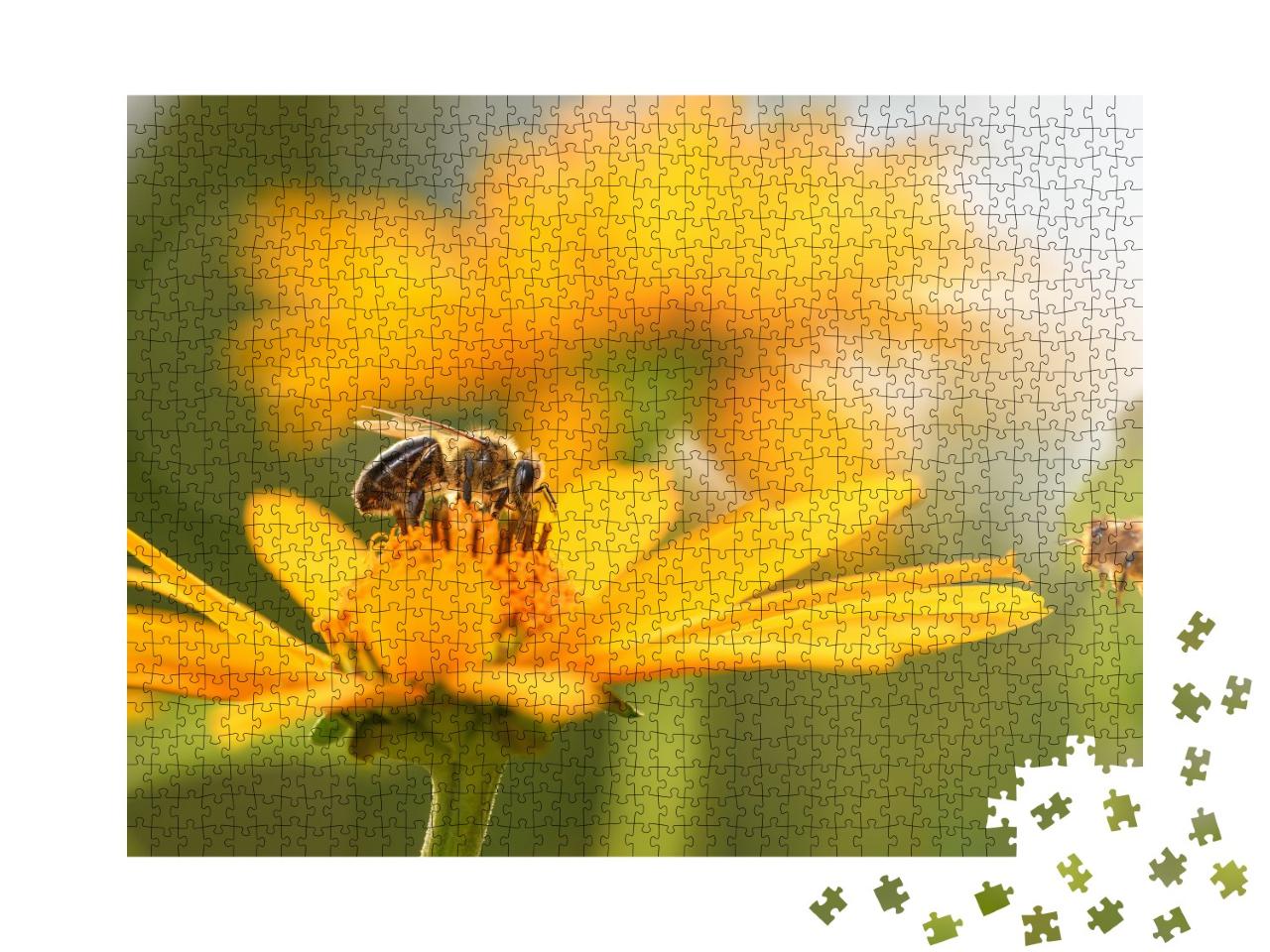 Puzzle de 1000 pièces « Gros plan sur une abeille et une fleur »
