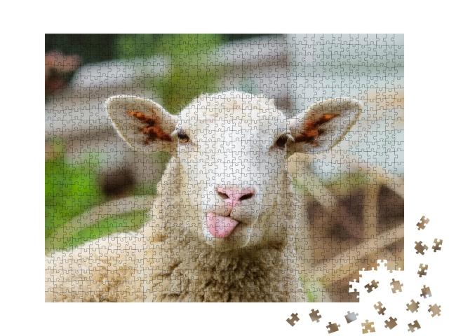 Puzzle de 1000 pièces « Portrait d'un mouton »