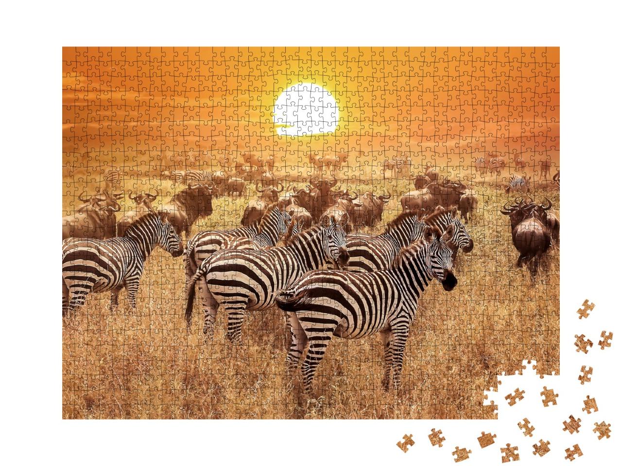 Puzzle de 1000 pièces « Zèbre au coucher du soleil dans le parc national du Serengeti, Afrique, Tanzanie »