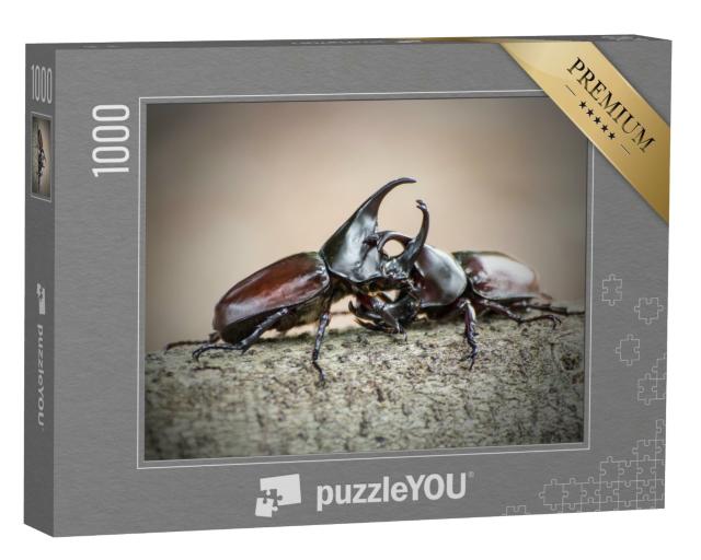Puzzle de 1000 pièces « Le scarabée rhinocéros, également connu sous le nom de scarabée rhinocéros ou scarabée de combat »