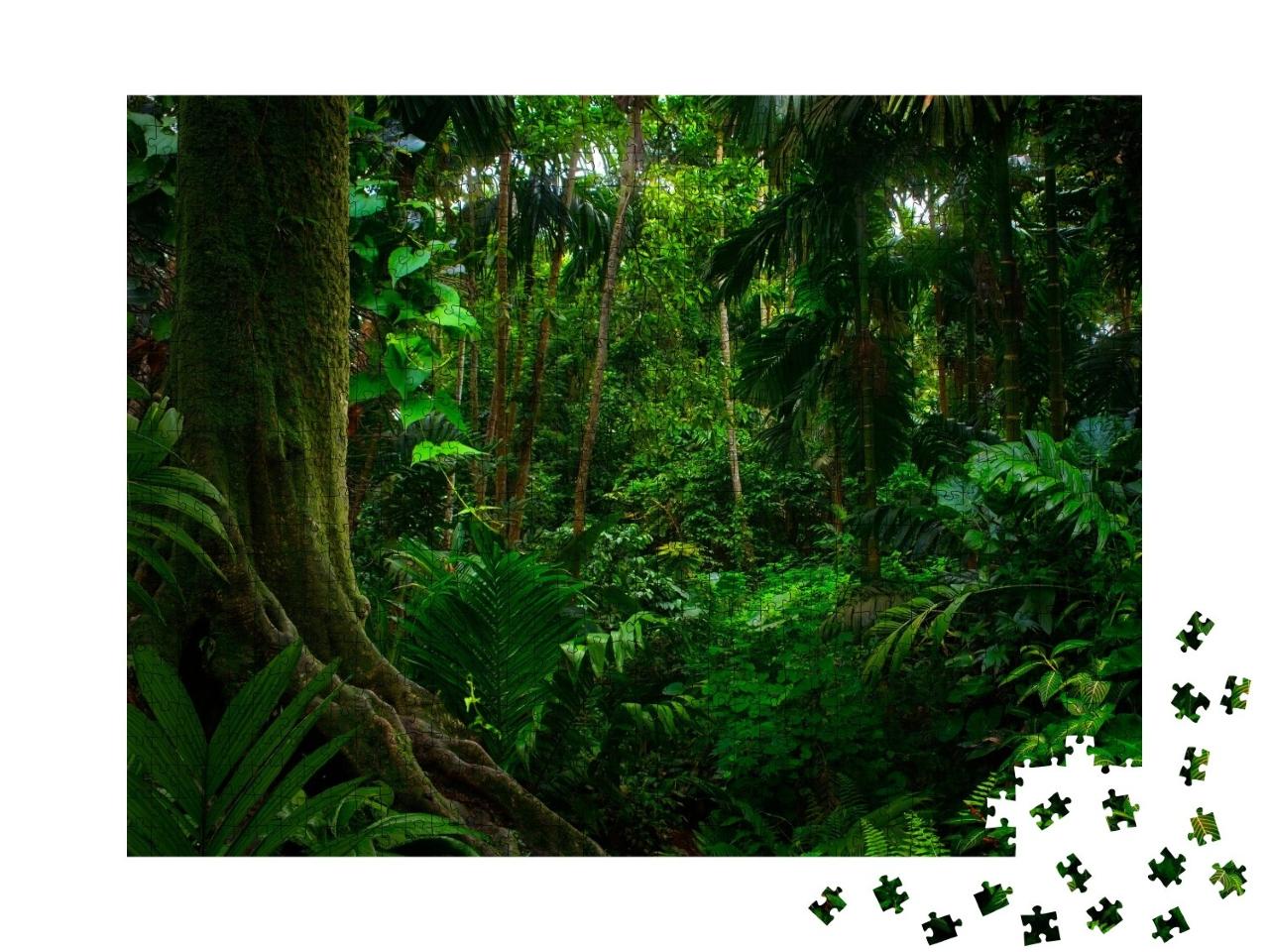 Puzzle de 1000 pièces « Jungles tropicales d'Asie du Sud-Est en août »