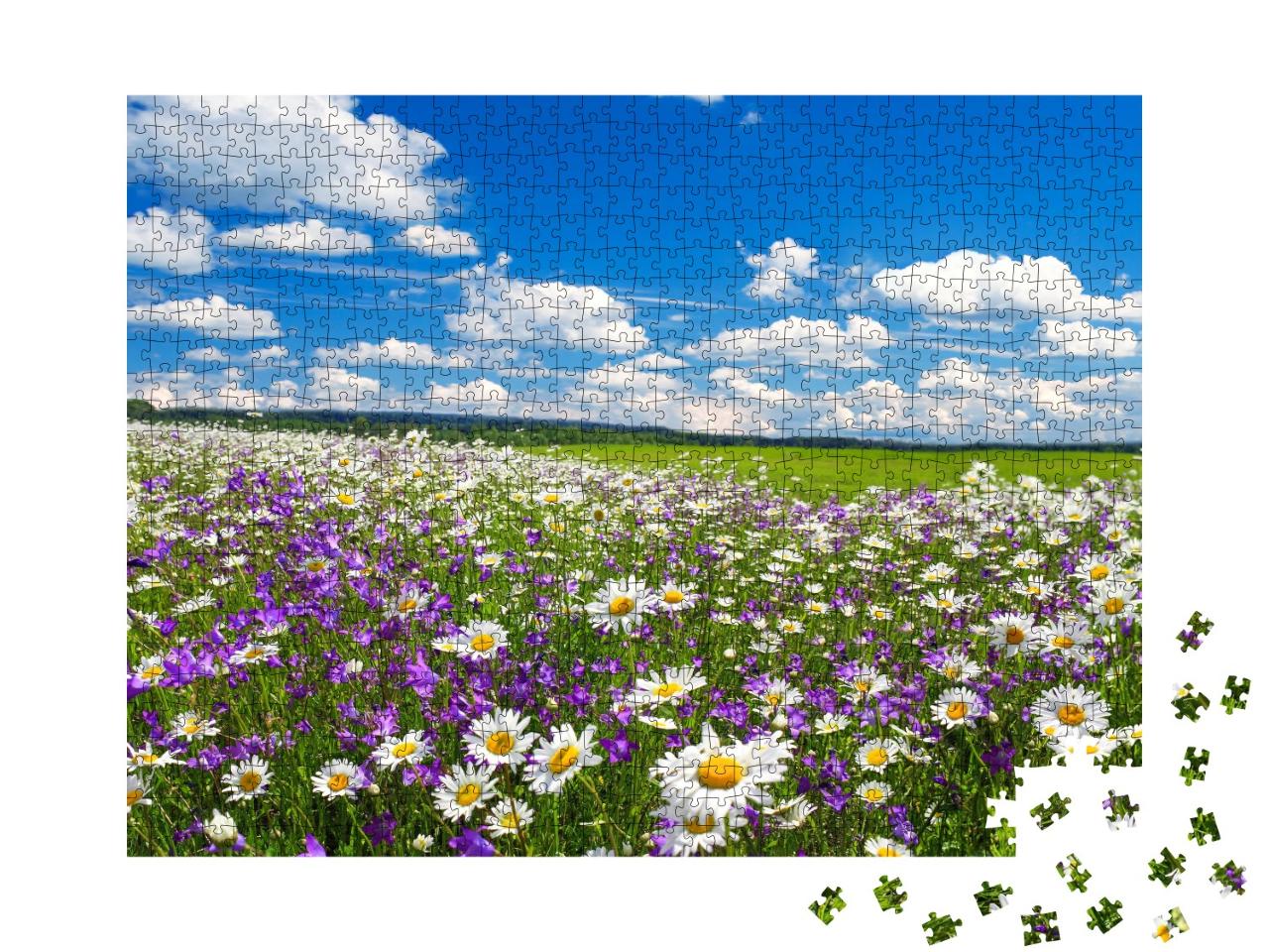 Puzzle de 1000 pièces « Paysage printanier avec camomille et fleurs en fleurs »